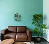 A living room scene with a brown leather sofa, a decorative shelf, and a potted plant. Náhled obrázku produktu