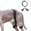 Stützbandage für Hunde M,Beinstützung bei Produktbild-Vorschau 1
