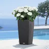 Lechuza Samozavlažovací květináč Cubico Cottage 30 cm, Náhled obrázku produktu 5