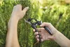 Gartenschere, Rosenschere for_q, Bypass Produktbild-Vorschau 7