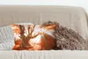 MuchoWow® Zierkissen Sofakissen Wohnzimmer Dekokissen 50x30 Produktbild-Vorschau 4