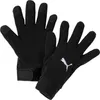 Gants d'hiver Puma Teamliga 21 noirs Voir les images du produit 3