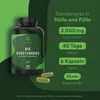 Capsule di erba d'orzo biologica - 240 capsule (500 mg) - Anteprima dell’immagine prodotto 2