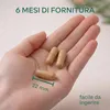 Aavalabs Ginkgo Biloba 50:1 | Ginseng e Bacopa | Memoria e Anteprima dell’immagine prodotto 9
