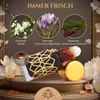El-Musc  Black Amber 6ml Parfümöl - Black Musk Misk Produktbild-Vorschau 4