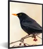 MuchoWow® Gerahmtes Poster Amsel - Vogel - Zweige - Beere - Produktbild-Vorschau 1
