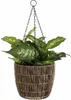 Mica Decorations Dieffenbachia pianta artificiale in vaso Anteprima dell’immagine prodotto 5