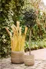House Nordic Manden Moro Kubu Rotan Naturel Set van 2 Productafbeelding-voorbeeld 4