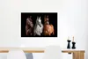 MuchoWow® Poster Pferde - Tiere - Schwarz 60x40 cm - Produktbild-Vorschau 5