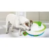 Dog Training Toy Produktbild-Vorschau 1