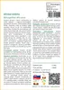 SAFLAX - africká vistéria - Bolusanthus africanus - 15 Náhľad obrázku produktu 3