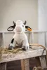Steiff Kuscheltier Soft Cuddly Friends Kuh Cobb Weiß (24 Produktbild-Vorschau 3