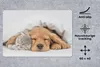 MuchoWow® Schreibtischunterlage Haustiere - Hund - Katze - Produktbild-Vorschau 2