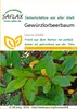 Artikelbild 1 von 'Gewürzlorbeerbaum' aus der Kategorie Exotische Samen Podgląd zdjęcia produktu