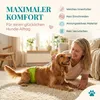 HUND IST KÖNIG Hundewindeln für Rüden [3 Stk], L (Taille Produktbild-Vorschau 4