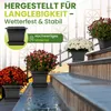 XXL Pflanzkübel anthrazit 48x48 cm, robust, modernes Produktbild-Vorschau 4