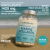 Aavalabs Meereskollagen | Typ I & Hyaluronsäure | Haut & Produktbild-Vorschau 2