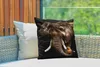MuchoWow® Outdoor Kissen - Elefant - Papagei - Zähne - Produktbild-Vorschau 3