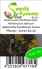 10x Helichrysum italicum Italienische Strohblume Garten Produktbild-Vorschau 3
