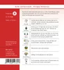Rote Gartenmelde | Gartenmeldesamen von Dürr Samen Produktbild-Vorschau 2