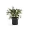 Ecopots Pflanztopf Amsterdam Ø 80 x 74,2 cm dunkelgrau mit Produktbild-Vorschau 3