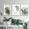 Plante verte Set d'affiches en 3 parties, Tableaux muraux Voir les images du produit 1