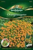 Orangen-Tagetes Orange | Blumensamen von Quedlinburger Produktbild-Vorschau 1