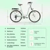 Vecocraft Hebe E-Bike 28 inch Stahl E-Bike 7-speed 36V 10Ah Produktbild-Vorschau 4