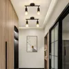 A hallway with wooden cabinets, a framed picture on the wall, and two ceiling lights. Náhľad obrázku produktu