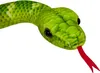 Baumpython - Nature Zoom Wild Produktbild-Vorschau 2