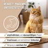 REAVET Magenmild Pulver für Katzen – Magenpulver bei Produktbild-Vorschau 2