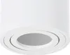 A close-up, studio shot of a white cylindrical ceiling light fixture. Anteprima dell’immagine prodotto