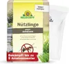 Neudorff Nützlinge gegen Ameisen – 5 Mio. SF-Nematoden Produktbild-Vorschau 1