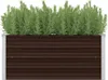A raised garden bed filled with green plants, isolated on a white background. Produktbild-Vorschau