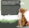 A dog looking up with a speech bubble containing text about dog food. Produktbild-Vorschau