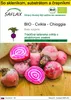 SAFLAX Kultivačný set - BIO - Cvikla - Chioggia - Beta Náhľad obrázku produktu 1