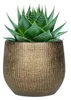 Steege Pflanzentopf - modernes Design - gold - 16 x 18 cm Produktbild-Vorschau 2