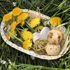 9 Stück Kaubälle, Kleintiere Kauspielzeug, Grasspielzeug Produktbild-Vorschau 5