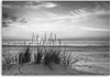 Leinwandbild gräser am strand - schwarz-weiß 90x60 cm Feeby Produktbild-Vorschau 3
