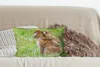 MuchoWow® Zierkissen Sofakissen Wohnzimmer Dekokissen 50x30 Produktbild-Vorschau 4