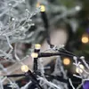 Close-up of LED string lights with a frosted branch-like decoration. Podgląd zdjęcia produktu