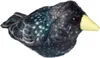 A plush toy bird is shown against a white background. Produktbild-Vorschau