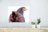 MuchoWow® Poster Rückansicht eines Huhns 40x30 cm - Plakate Produktbild-Vorschau 6
