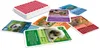 ASS Quartett Tierkinder, 1 set Voir les images du produit 3