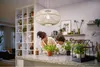 A woman and a child are tending to plants on a kitchen counter. Produktbild-Vorschau