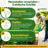 POWER SF-Nematoden gegen Trauermücken,2 Mio. für 20 Produktbild-Vorschau 4