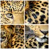 Bilder auf glas - Einteilig - Tiere gefährlich wilde katze Produktbild-Vorschau 8