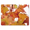 MuchoWow® Mauspad Mousepad Herbstzweige - Blätter - Produktbild-Vorschau 1