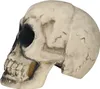 Skelet schedel, decoratie voor Halloween, griezelig Productafbeelding-voorbeeld 4