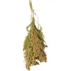 JR Farm Birds Rispenhirse 100 g - 8 Stück Produktbild-Vorschau 2